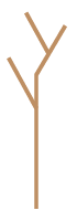 Conseiller, sécuriser